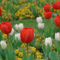 吵架之间插播广告