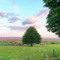 搞笑短信 笑死人-出去泡妞把它放在桌上