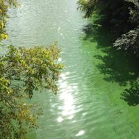 一封写给左耳朵的信