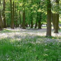 告别校园青春时代的心情说说:时间总是不断推着人走,不等你回头