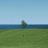 描写人物动作的片段有哪些