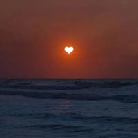 李厚霖精选语录句子_李厚霖短句