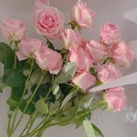 后来,终于在眼泪中明白_1