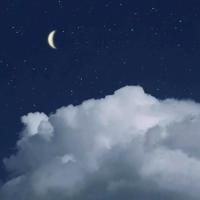 像柳树一样活着