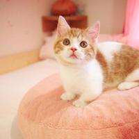 蕴含丰富哲理的爱情名言短句|爱情短句