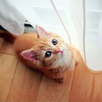 你要的长发飘飘