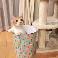 讲鬼故事之鬼影迷踪