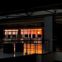 南方有佳人散文