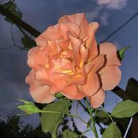 时光还在，温暖如你