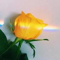 母爱是最无私的感情。关于母爱的经典语录