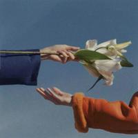 渐渐明白，人生本就没有如果