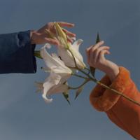 十一路：．我可以走一万步去见你，也愿意退一万零一步离开你