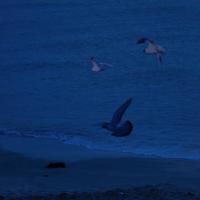 不是官富二代，年轻人也不能放弃努力