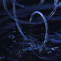 择一城终老，遇一人白首