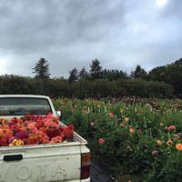 旖旎岁月,缤纷流年