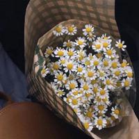 最后一班爱情地铁已错过