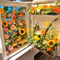 某某人超搞笑的日记