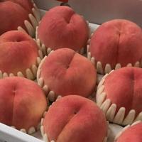 情人夫妻间的爆笑幽默