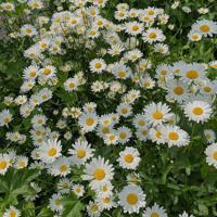 为你的婚姻积攒很多很多好时候