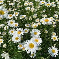 珍惜现在的每一天