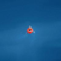 关于描写柳树的优美句子