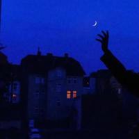 人生只有一次，我不想将就