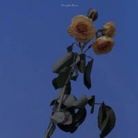 去别处寻找肥肉