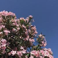 莫教尘缘负韶光散文