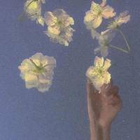 爱情的力量，让成功绽开隐形的翅膀