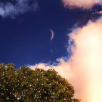 【情感故事】女人的秘密口述实录丈母娘来了