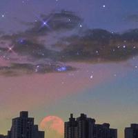 判断能力是人生必备能力之首