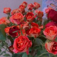 请不要跑丢了你自己的灵魂