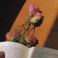 正能量的句子经典语句,超励志