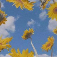 淘宝小二的爱情搭档