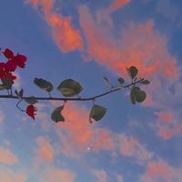 就这样让我爱上了你