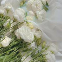 空姐讲述：美丽职业背后的艰辛(图)