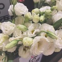 哥给男人的一些忠告