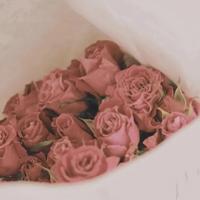 千万不要乱发誓