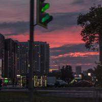 小菊｜最隐蔽的家常菜：随州苍蝇馆子寻味