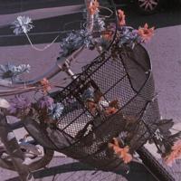 谁动了你的爱情