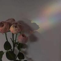 给爱呼吸的空间