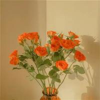 关于郭敬明的经典伤感语录 要理想不要幻想，要激情不要矫情