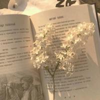 余秋雨比较不错的经典语录