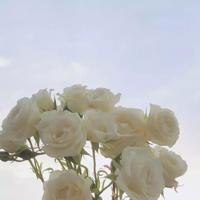 某女生写的“如果我是男人”(爆笑)