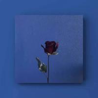 销售法则第一条