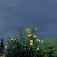 牛根生的一些经典语句 小胜凭智，大胜靠德