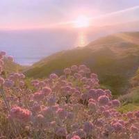 因为有你，我才快乐