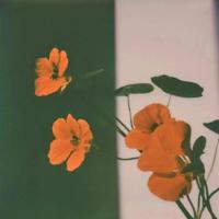 泰戈尔经典语录 泰戈尔经典语录精选