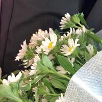 世上最爱我的那个男人