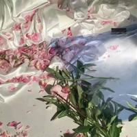 今夜,只做你一个人的少爷(组诗)